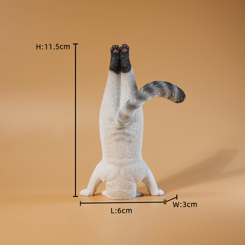 Mini chat de Fitness simulé, é - Yoga In Fitness First avis et prix