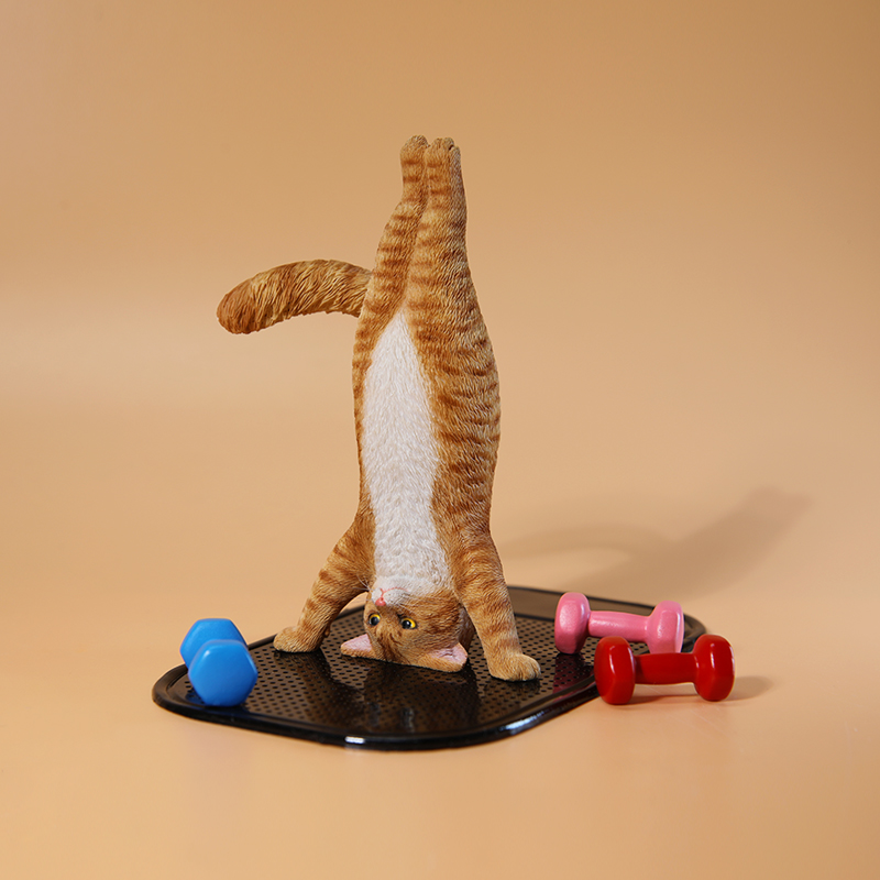 Mini chat de Fitness simulé, é - Yoga In Fitness First avis et prix